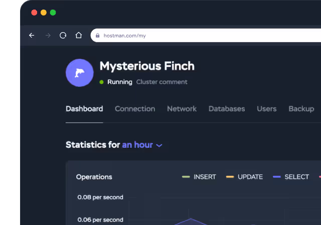 Hostman management console, statistics for an hour